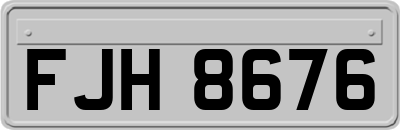 FJH8676