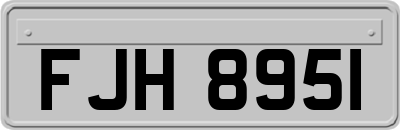 FJH8951