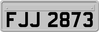 FJJ2873