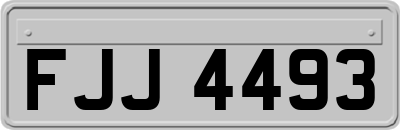 FJJ4493