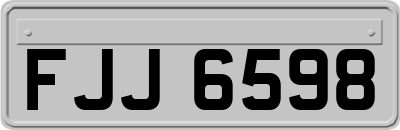 FJJ6598