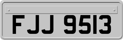 FJJ9513
