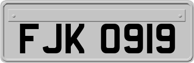 FJK0919
