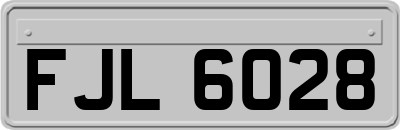 FJL6028