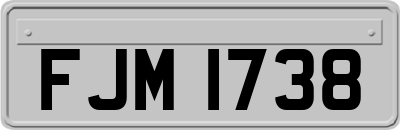 FJM1738