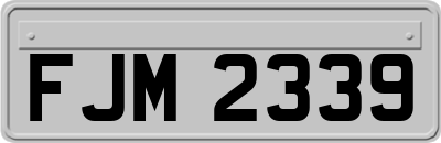FJM2339