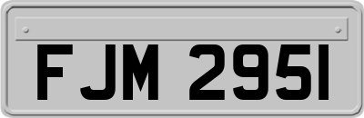 FJM2951