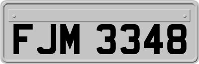 FJM3348