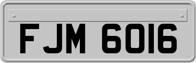 FJM6016