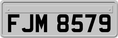 FJM8579