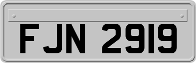 FJN2919