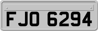 FJO6294