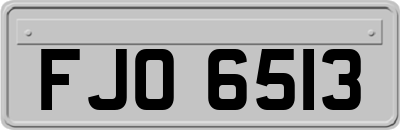 FJO6513