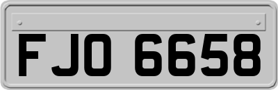FJO6658