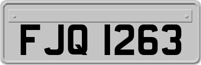 FJQ1263
