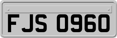 FJS0960
