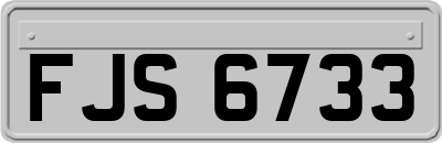 FJS6733