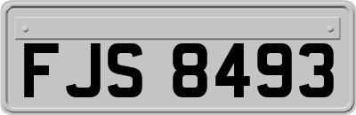 FJS8493