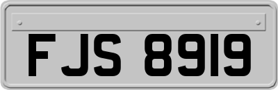 FJS8919