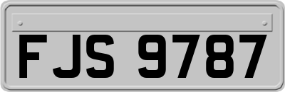 FJS9787