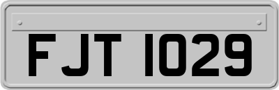 FJT1029