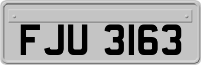 FJU3163