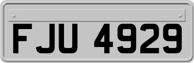 FJU4929