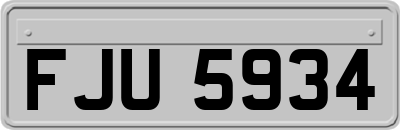 FJU5934