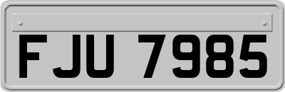 FJU7985