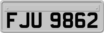 FJU9862
