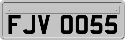 FJV0055
