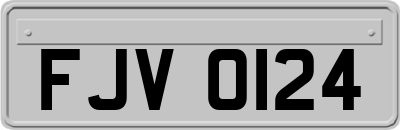 FJV0124