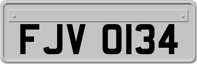 FJV0134