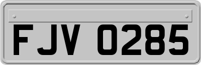 FJV0285