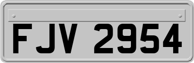 FJV2954