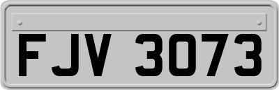 FJV3073