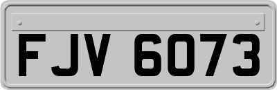 FJV6073