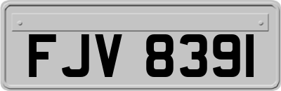 FJV8391