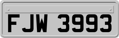 FJW3993