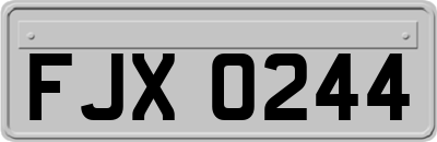 FJX0244