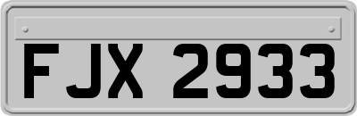 FJX2933