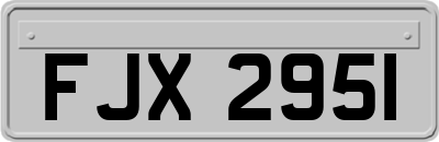 FJX2951