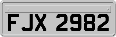 FJX2982