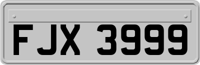 FJX3999