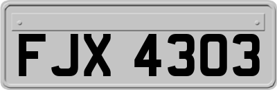 FJX4303