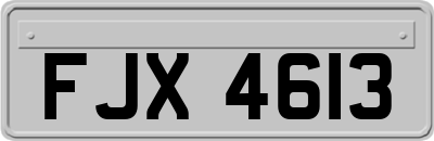 FJX4613