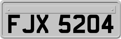 FJX5204