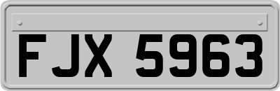 FJX5963