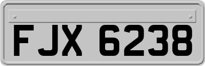 FJX6238