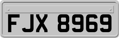 FJX8969